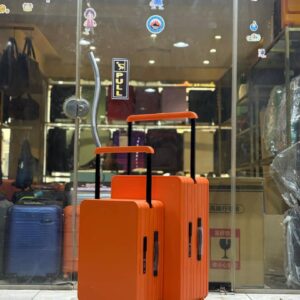 Luggage Set | Spinner Suitcase Combo
